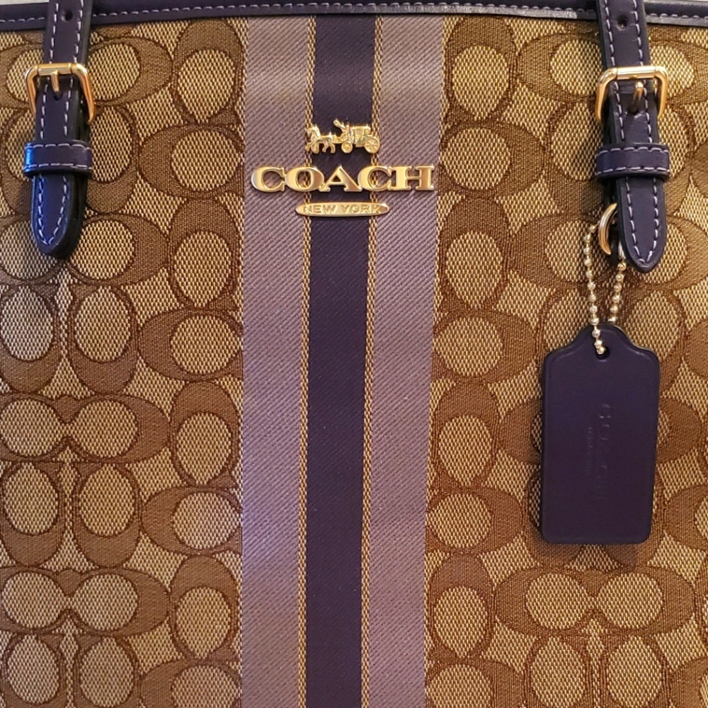 Coach Small Tote